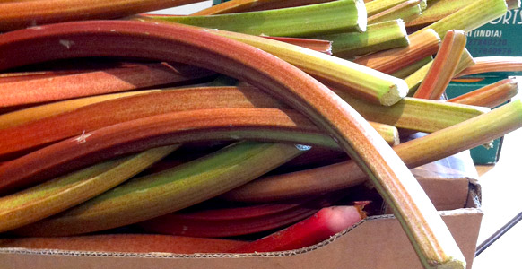 rhubarb.seducer.web