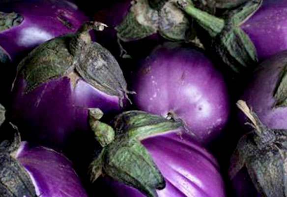 Aubergine-Seasonal-Seducer