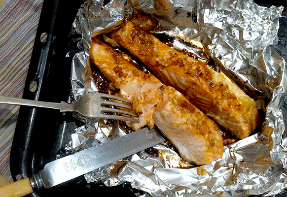 Tamari-Salmon Tamari Wild salmon
