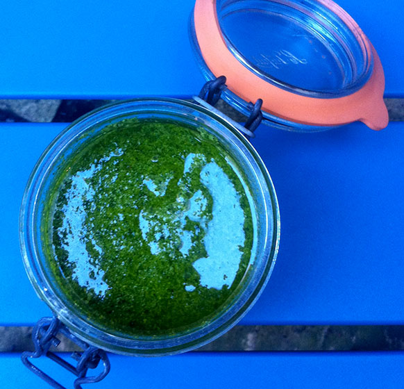 basil-pesto
