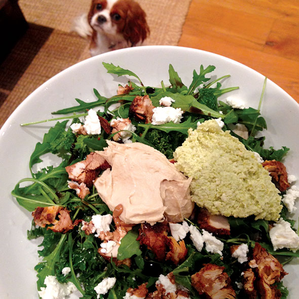Kale superfood salad. And Dolly. Kale-&-Dolly