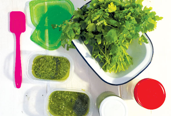 Parsley-&-coriander-salsa